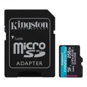 Карта памяти Kingston Canvas Go! Plus microSDXC UHS-I Class 3 C10 256GB, SDCG3/256GB