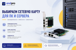 Как выбрать сетевую карту для ПК, офиса и рабочей станции