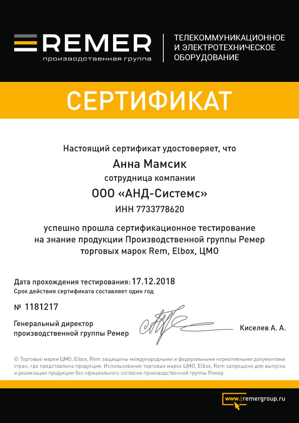 Анна Мамсик - сертифицированный специалист продукции Remer марок Rem, Elbox, ЦМО